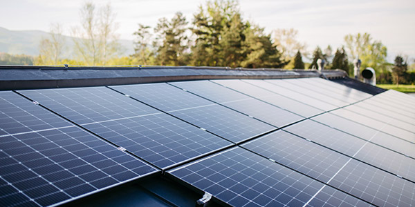 A roof full of solar panels 