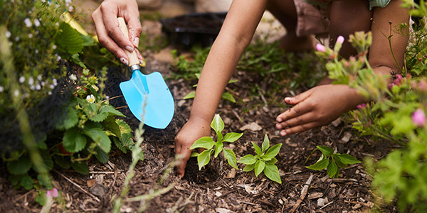 gardening