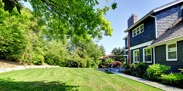 A big freshly mowed back yard of a nice house 