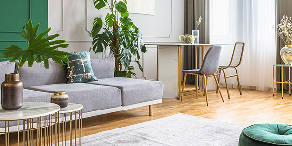 A living room with a simple modern grey couch and small desk with big healthy house plants
