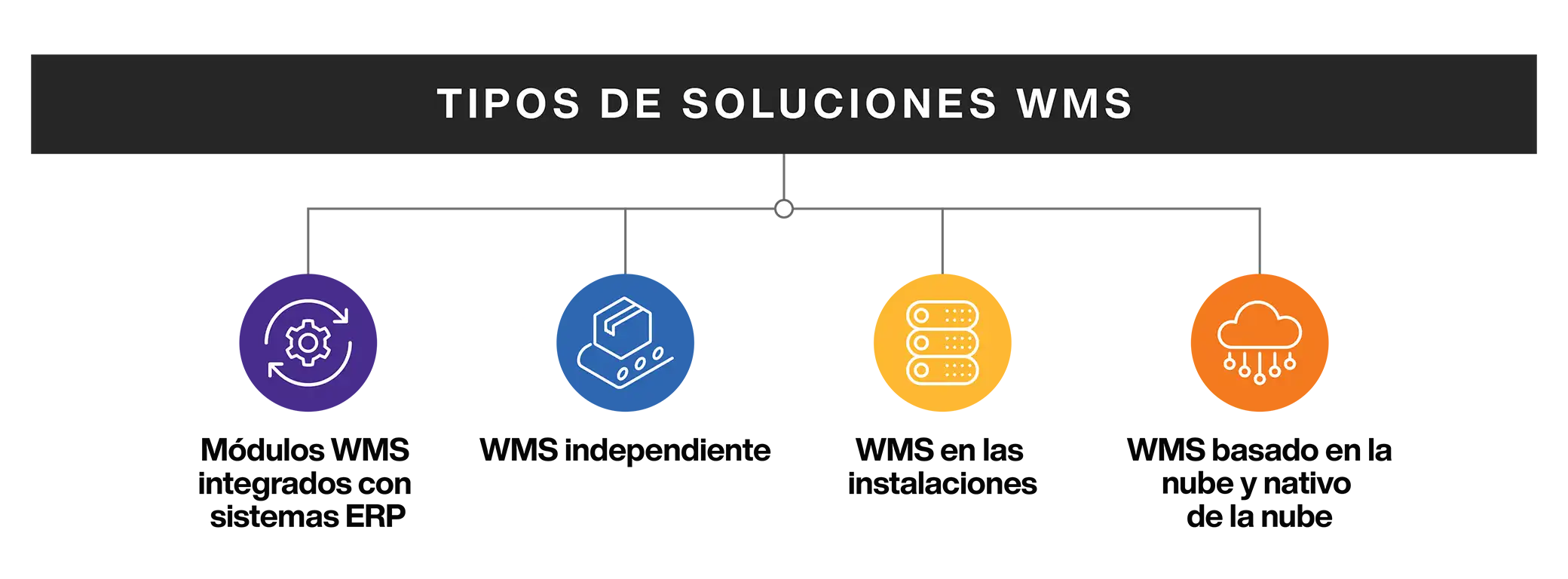 Types of WMS Systems