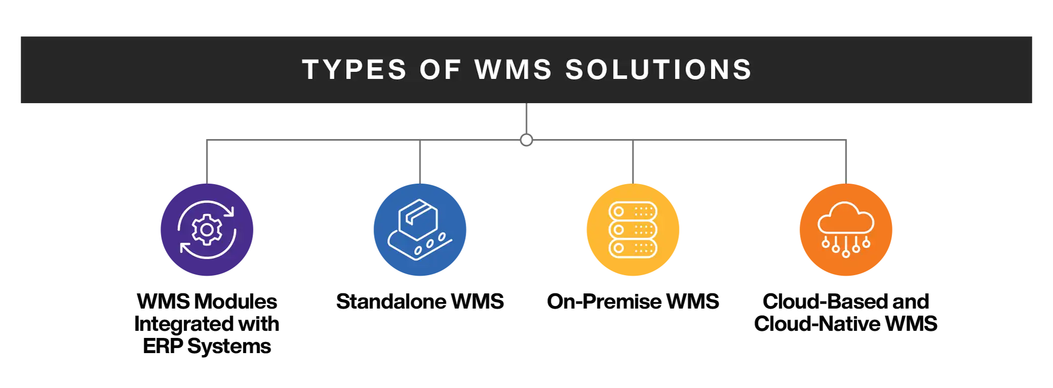 Types of WMS Systems