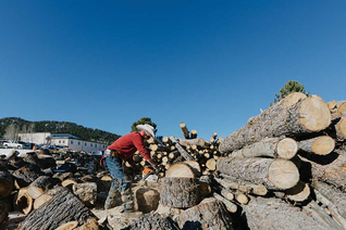 A man with a saw cutting up trees outside