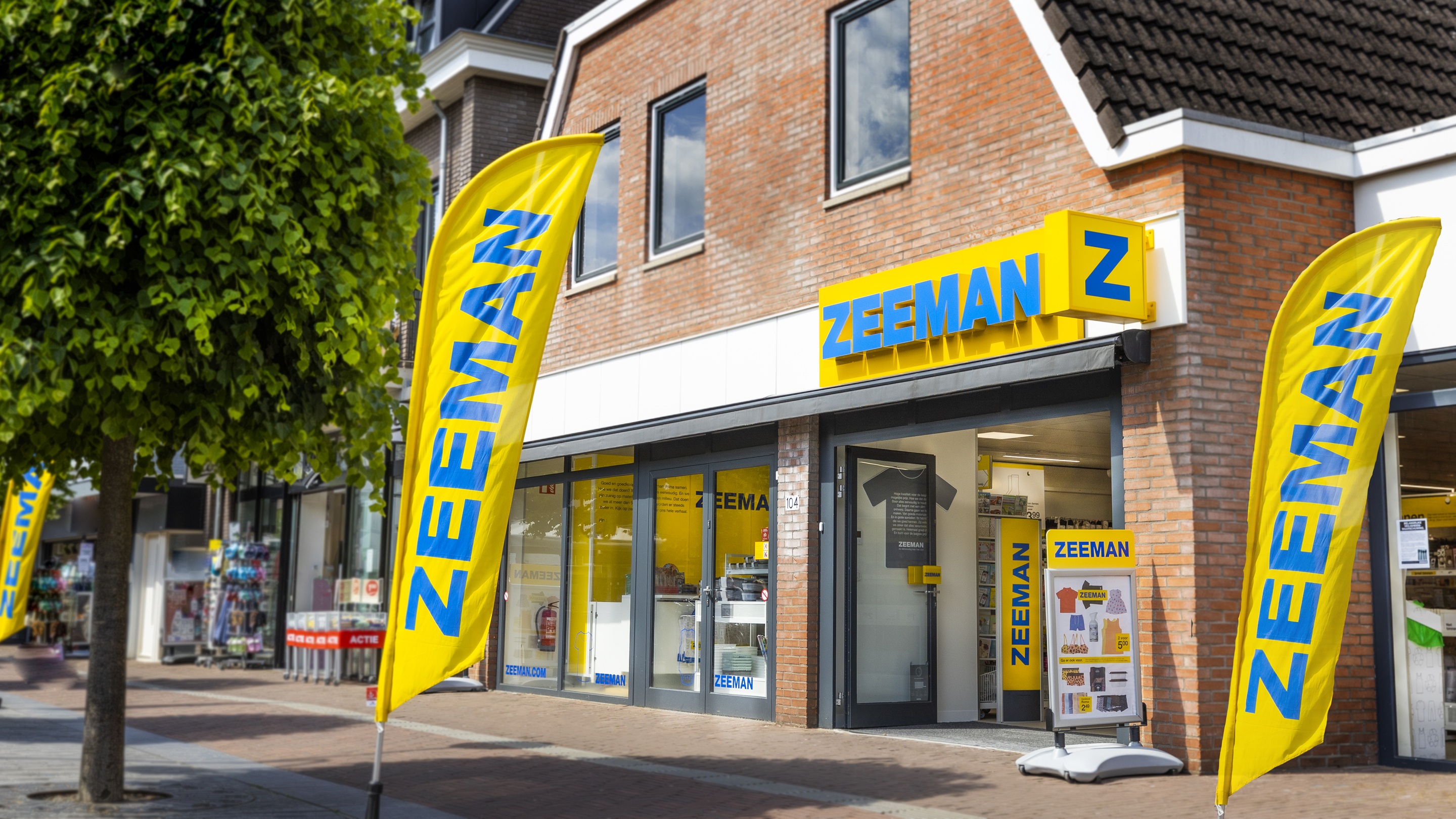 Zeeman masthead