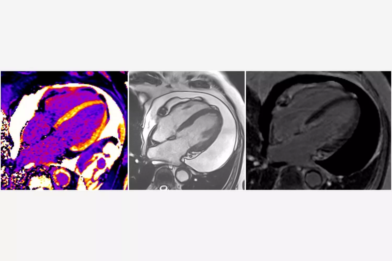 Image of the Week - 19 November 2025